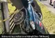 Și-a transmis LIVE ultimele clipe de viață. Accident ȘOCANT în județul Neamț - VIDEO