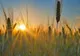 PROGNOZA METEO 13 SEPTEMBRIE. REVIN TEMPERATURILE DE VARĂ
