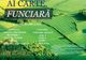 Cadastrarea gratuită a imobilelor din extravilanul municipiului Piatra-Neamț