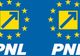 Competiție internă în PNL pentru desemnarea candidatului la primăria municipiului Piatra-Neamț