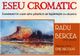 „Eseu cromatic” cu pictorul Radu Bercea la Biblioteca Județeană