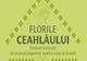 Festivalul Florile Ceahlăului, la etapa înscrierilor
