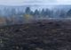 4,5 ha fond forestier și 5 ha vegetație uscată incendiate intenționat în Bicaz