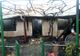 Incendiu la o gospodărie din Neamț! Care a fost cauza