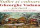 Expoziție în memoria pictorului Gheorghe Vadana, la Biblioteca Județeană