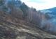 10 hectare de vegetație au ars la Borca