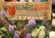 Flowers Market Holland - cel mai mare depozit de flori din Capitală a împlinit 10 ani VIDEO
