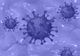 Mai mult de 10% din populația unei localitați din nordul Italiei, internată din cauza infectării cu norovirus