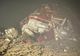 VIDEO ITALIA: TREI MORȚI DUPĂ PRĂBUȘIREA UNUI ELICOPTER