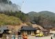 VIDEO COREEA DE SUD: 18 MORȚI ÎN MAI MULTE INCENDII DE PĂDURE